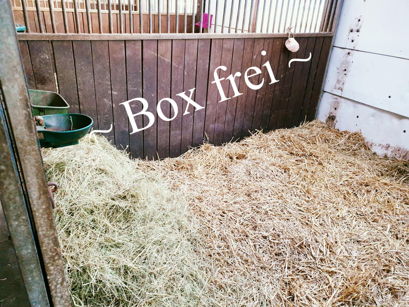 box-frei
